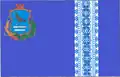 Flag of Voronizh