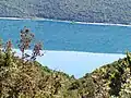 View of Vrana from Mali Podol