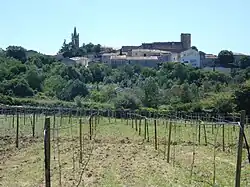 A general view of Montpezat