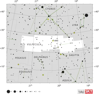 Vulpecula