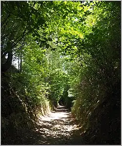 A gully passage