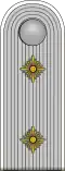 Rittmeister (German Army)[14]