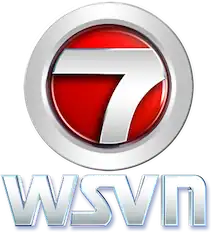 A shiny red sphere framed by a combined chrome 7 and circle (the "circle 7" logo). Underneath the number design are the letters "WSVN" in a distinctive typeface, itself also with a chrome appearance.