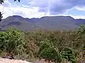 Wadbilliga National Park