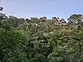 The Wairaki Stream valley