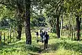 Tourists walking towards Medla watch tower