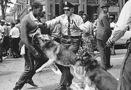 A black-and-white photograph of a black male teenager being held by his sweater by a Birmingham policeman and being charged by the officer's leashed German Shepherd while another police officer with a dog and a crowd of black bystanders in the background look on