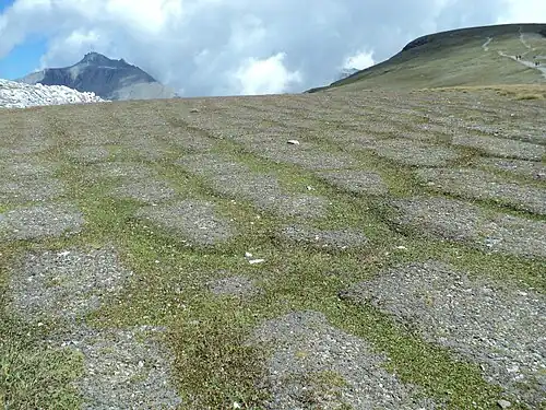 Patterned ground on Earth.