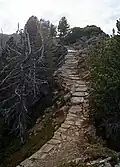 Hiking trails on the Speikboden