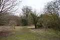 Warren Nature Reserve