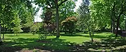 A grassy area with tall trees leaving shadows from the sun above. In the distance are small rowhouses, and a street is at the right.