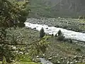 A stream flowing through the Hirpora Wildlife Sanctuary.
