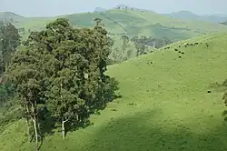 View of Masisi