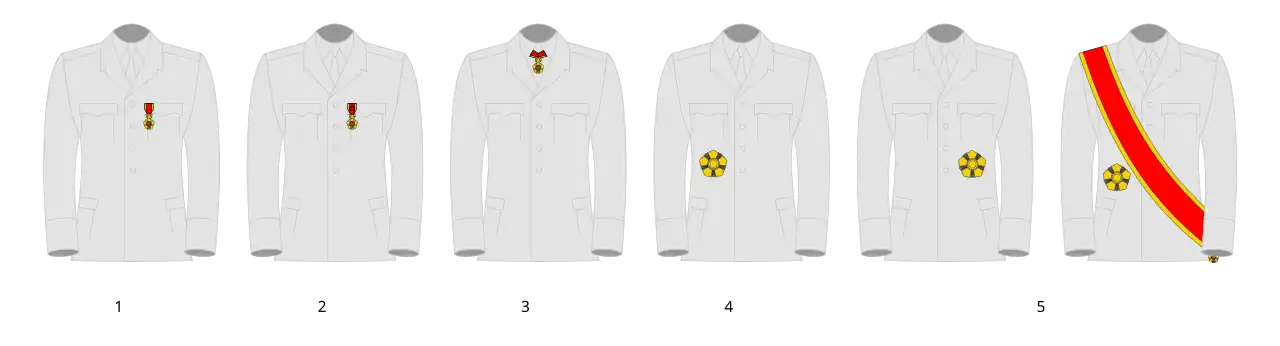 Wearing of the insignia of the National Order of Vietnam