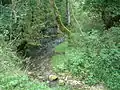 Source of the White Lauter