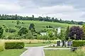 Vineyards and cemetery