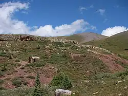 Abandoned mine shack near the Continental Divide Trail.