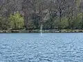 Water fountain caused by oxygen pump