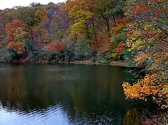 Western shore of Pocantico Lake