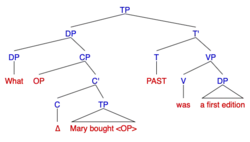 Syntax Tree for Wh-Cleft/Pseudo-Cleft sentence: "What Mary bought was a first edition"