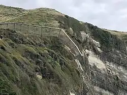 Pest-exclusion fence ending on a cliff face