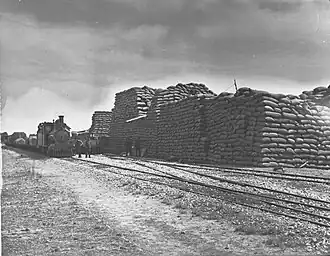 Wheat stacks at Kybunga, ca. 1920