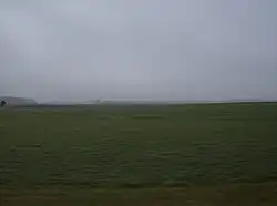 Winter wheat field in Wabash Township