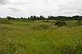 Whet Mead