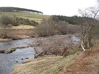 Whiteadder Water running around Abbey St Bathans (March 2010)