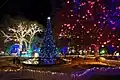 The park at Christmas