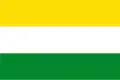 Flag of Wijhe