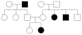 In an autosomal recessive disorder, it is possible for both parents to not express the trait but, if both are carriers, for their offspring to express the trait. Autosomal recessive disorders typically skip a generation, so affected offspring typically have unaffected parents. With an autosomal recessive disorder, both males and females are equally likely to be affected.