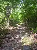 The trail often leads uphill