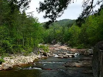 Wilson Creek