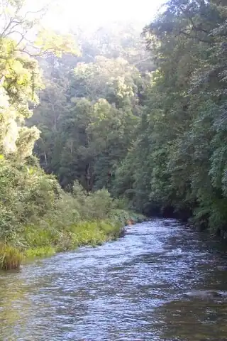 Wilson River New South Wales near Rollands Plains