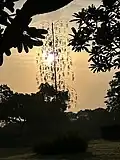 Wind chimes at Leisure Valley, Chandigarh