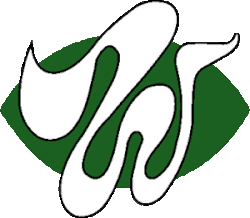 Chicago Winds logo