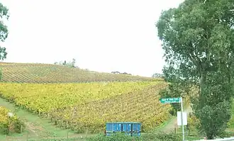 Winery at Chain of Ponds