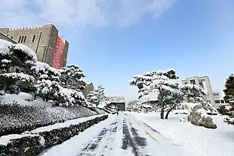 Winter 3