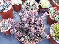 ""
