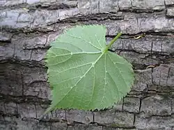 ""