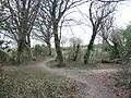 Nine Wells