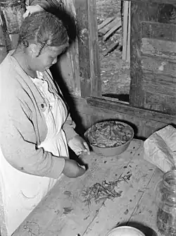 Woman preparing "poke sallet" made of pokeweed (or Phytolacca americana)