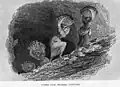 Women coal bearers