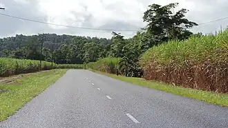 Woopen Creek Road, Woopen Creek, 2018