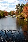 The pond