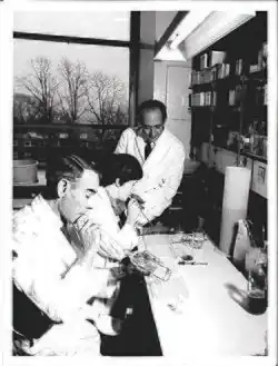 Pereira with other scientists in a laboratory