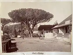 Wynberg as it would have appeared around 1900 looking down Durban Road as it intersects Wolfe Street.