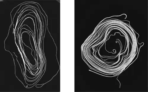 Slices from XMT scans of scrolls: (a) Bressingham, (b) Diss Heywood.[5]