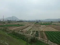Rural landscape in Xiang'an District